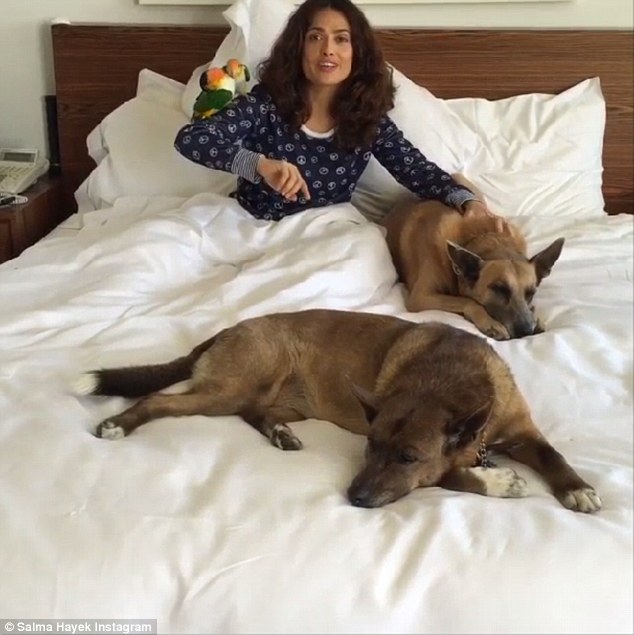 Just another day at home: The Latin beauty appeared makeup-free and wearing her peace sign printed pajamas in the morning clip